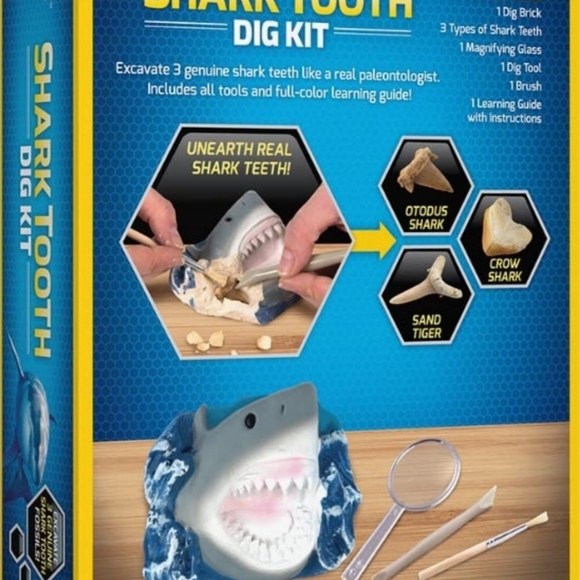 Shark Tooth Dig Kit - Picture 2 of 5